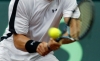 Двое россиян пробились в основную сетку Australian Open