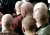 Вшей в питерских головах стало больше. В 2007 году заболеваемость педикулезом в Петербурге выросла