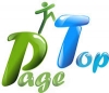Стартует новый проект по поисковой оптимизации (SEO) - PageTop