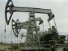 МЭРТ назвал первых участников торгов на российской бирже нефтепродуктов