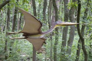 Парк Юрского периода-5: Они снова в бегах