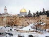 Израильских бомжей разместят в гостиницах