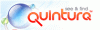 Quintura осуществляет бета-тестирование новой программы поиска