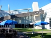 Google выпустит офлайновый текстовый редактор
