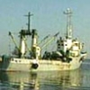 Золотая рыбка. Европейцы все активнее начинают думать об истощении своих морей