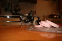 Откуда они все знают?!..