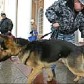 На одном из участков в Новосибирске распылили слезоточивый газ
