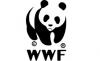 WWF создал новый интернет-портал для "юннатов" всего мира