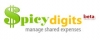 $picyDigits: не оставляйте должникам шансов