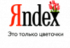 Яндекс начал поздравлять с 8 Марта