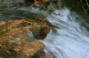ООН: чистая вода остается проблемой планетарного масштаба