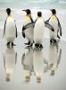 "Информзащита" выпускает собственный Linux