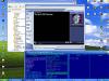 Свыше 100 тысяч человек попросили Microsoft сохранить Windows XP