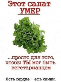 Этот салат УМЕР чтобы ты мог стать вегетарианцем