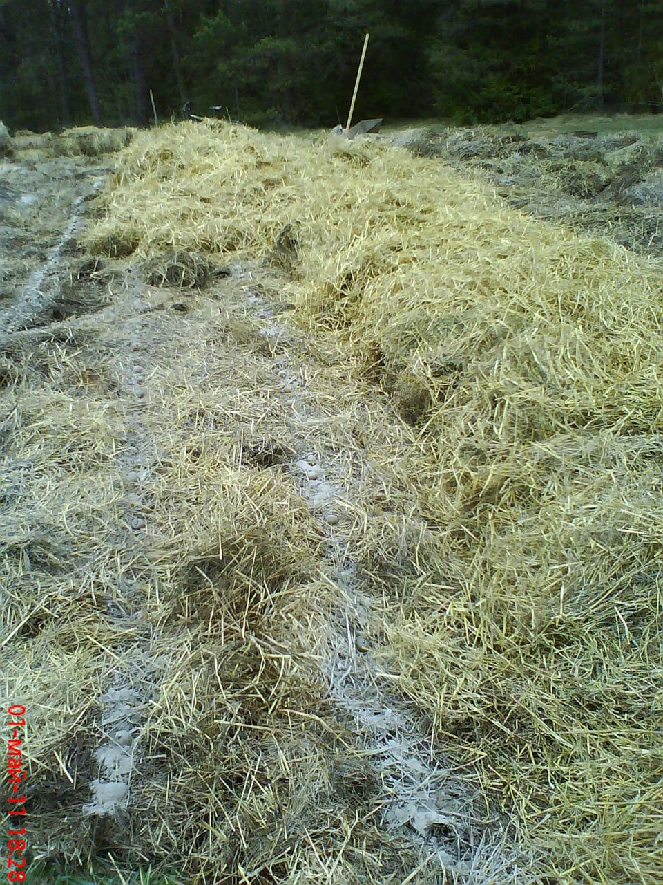 undefined