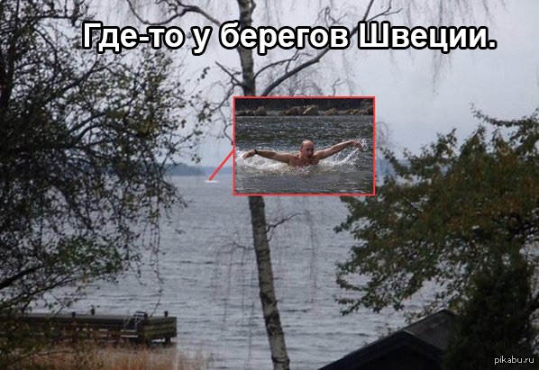 это путин