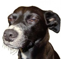 й