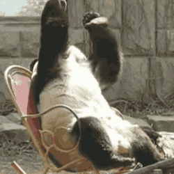 /user_images/143915/1247367_1454143527.gif