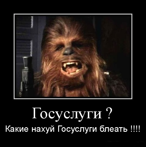 госуслуги