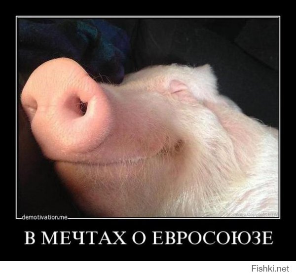 мечты