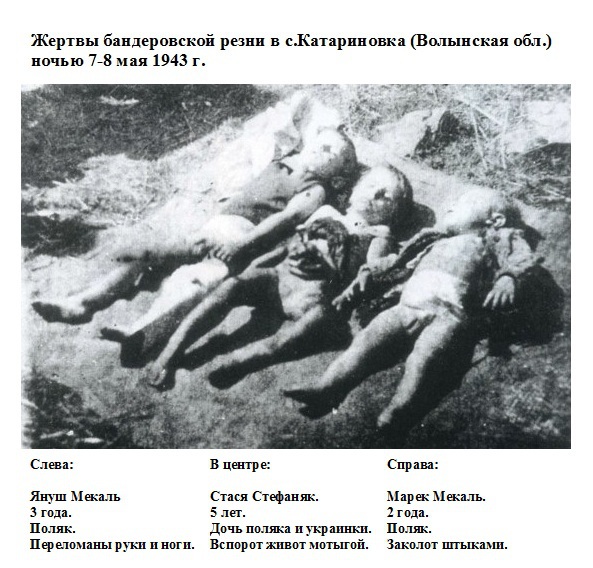 УПА ваша