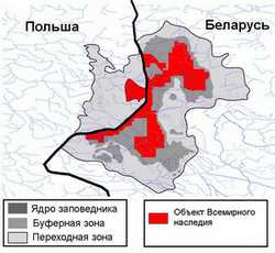 Беловежская пуща на карте