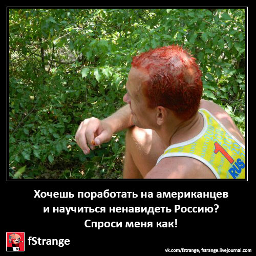 /user_images/186485/1563192_1454313490.jpg