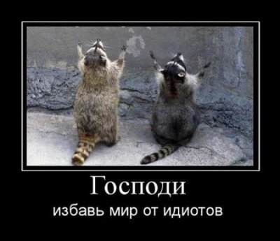 /user_images/191238/1844306_1462270278.jpg