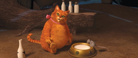 cat