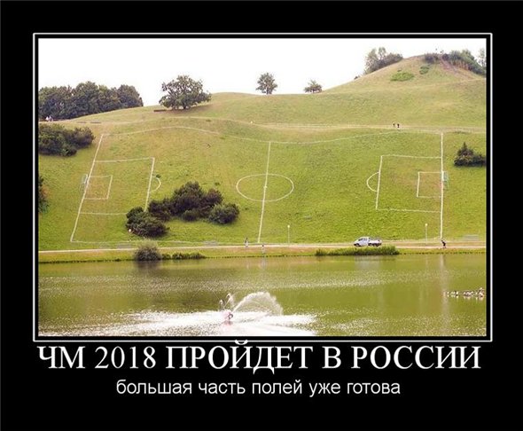 поле
