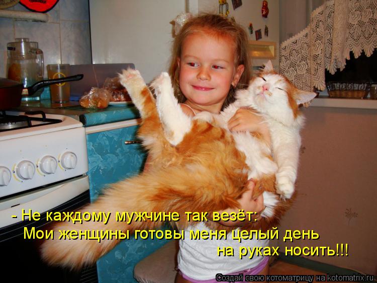 Котоматрица