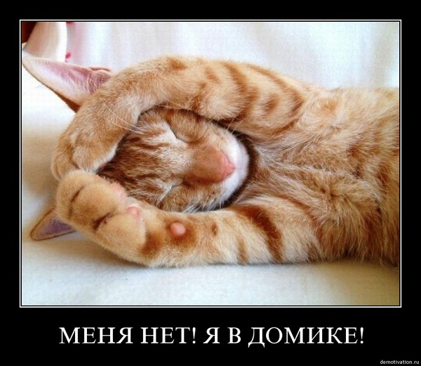 я в домике