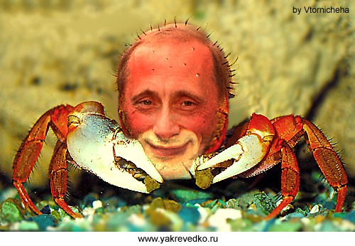 Путин - краб!