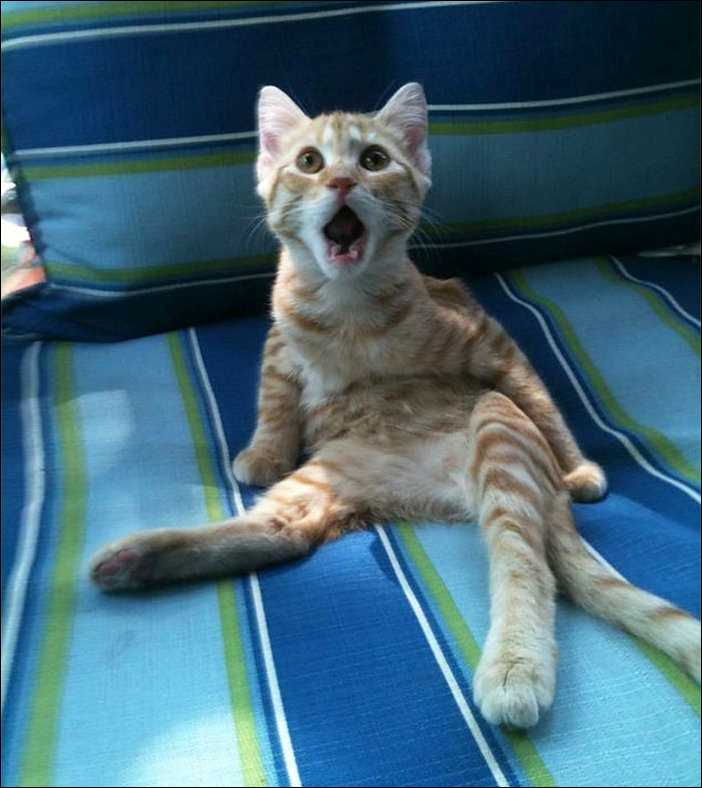 А я и не знал, что так можно!