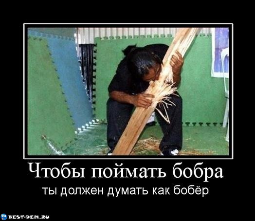 Чтобы поймать бобра ты должен думать как бобёр