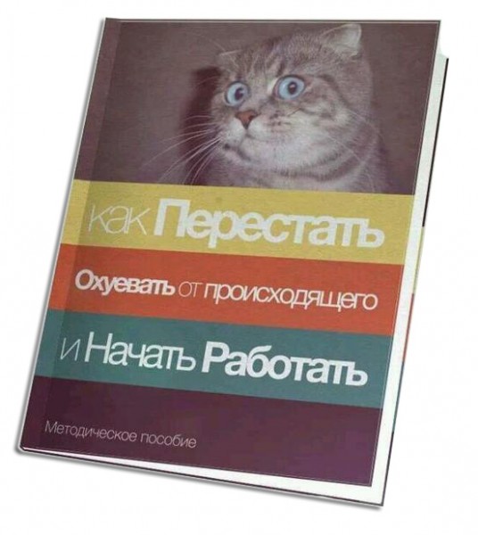 Как перестать охуевать от происходящего и начать работать