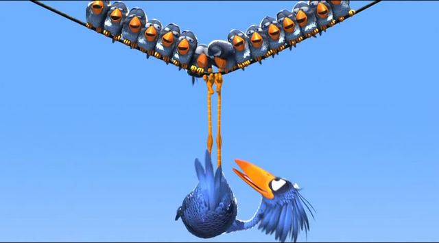 For The Birds