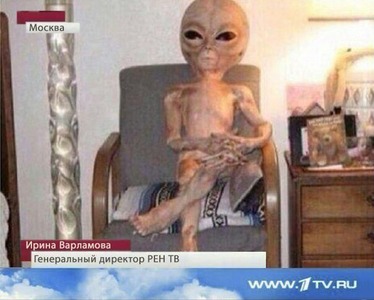 Директор Рен-ТВ