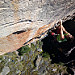 Nokia 808 PureView 41 megapixel Captured Image Sample