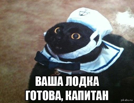 https://pp.vk.me/c619718/v619718746/1554/A5eSHwbUQ40.jpg