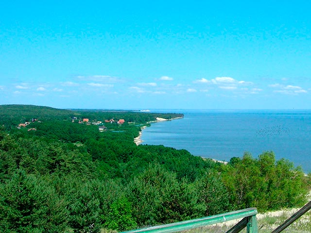 куршская коса цветоворот