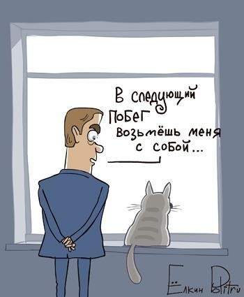 Продолжение темы