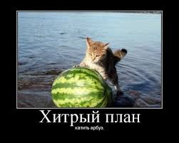 хитрый план